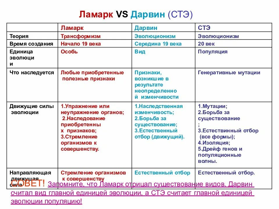 Таблица теории дарвина. Синтетическая теория эволюции и теория Дарвина сравнение. Ламарк Дарвин СТЭ. Таблица Дарвин и СТЭ. Таблица сравнения синтетической теории эволюции Дарвина.