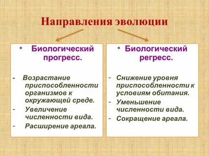 Направления эволюции человека