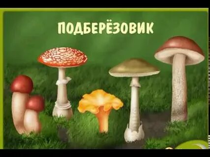 Грибы для детей видео развивающее