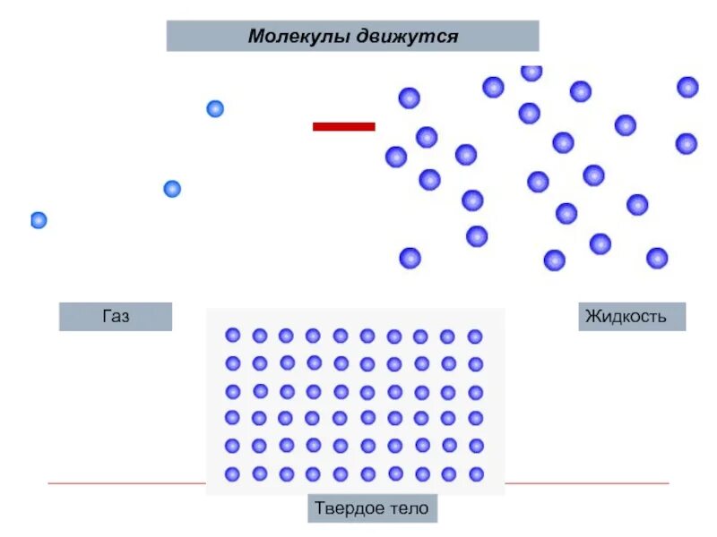 Движение молекул в газах жидкостях и твердых телах. Движение молекул в твердых телах. Движение молекул в жидких телах. Расположение молекул в твердых телах.