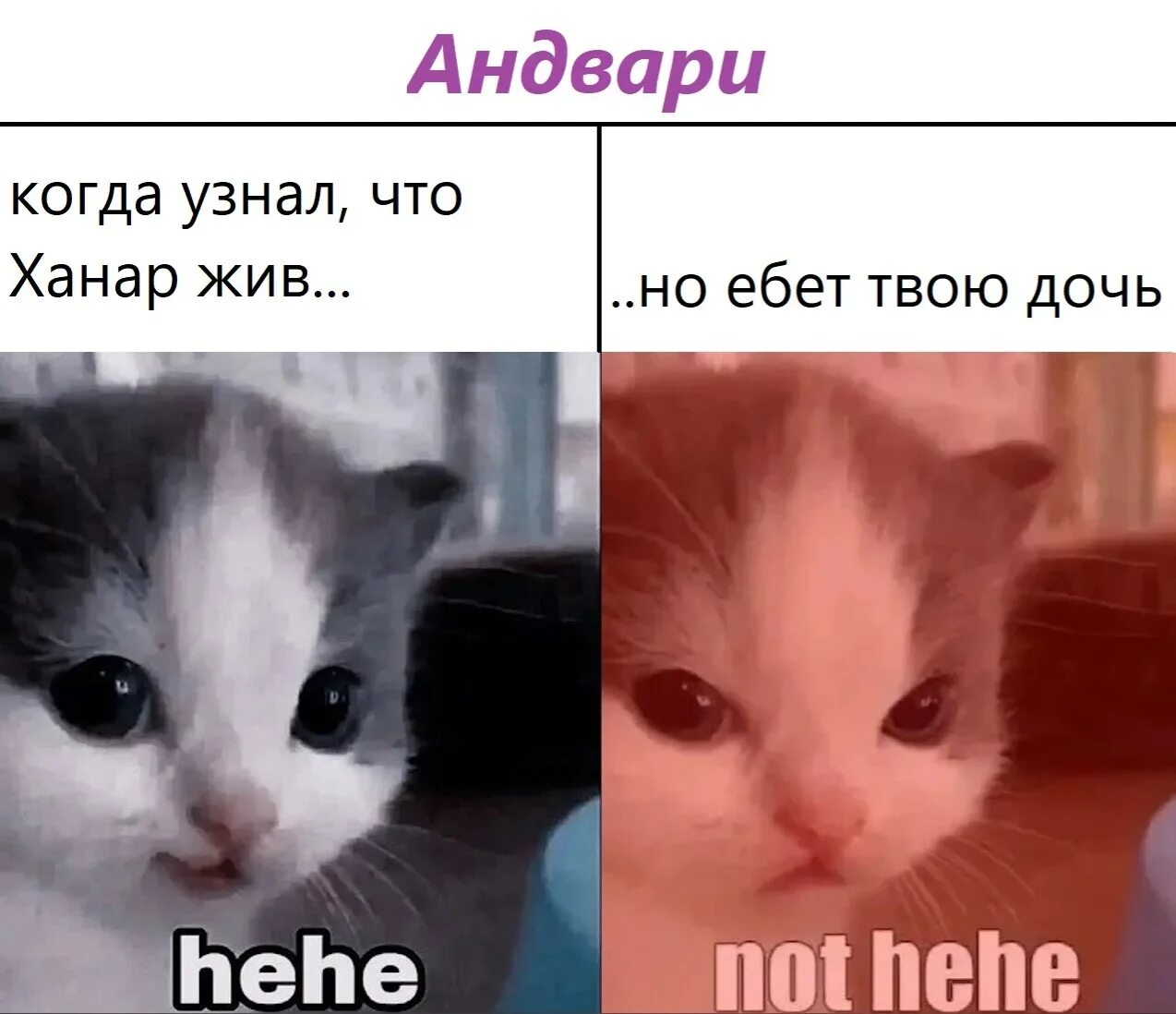 Cat he not her cat найдено 81 картинок