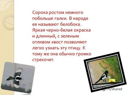 Немного побольше