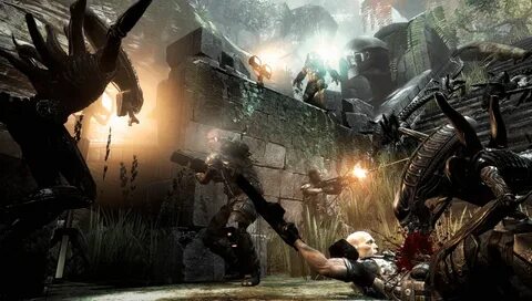 Alien vs predator пк