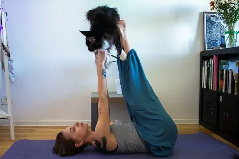 Йога с котятами