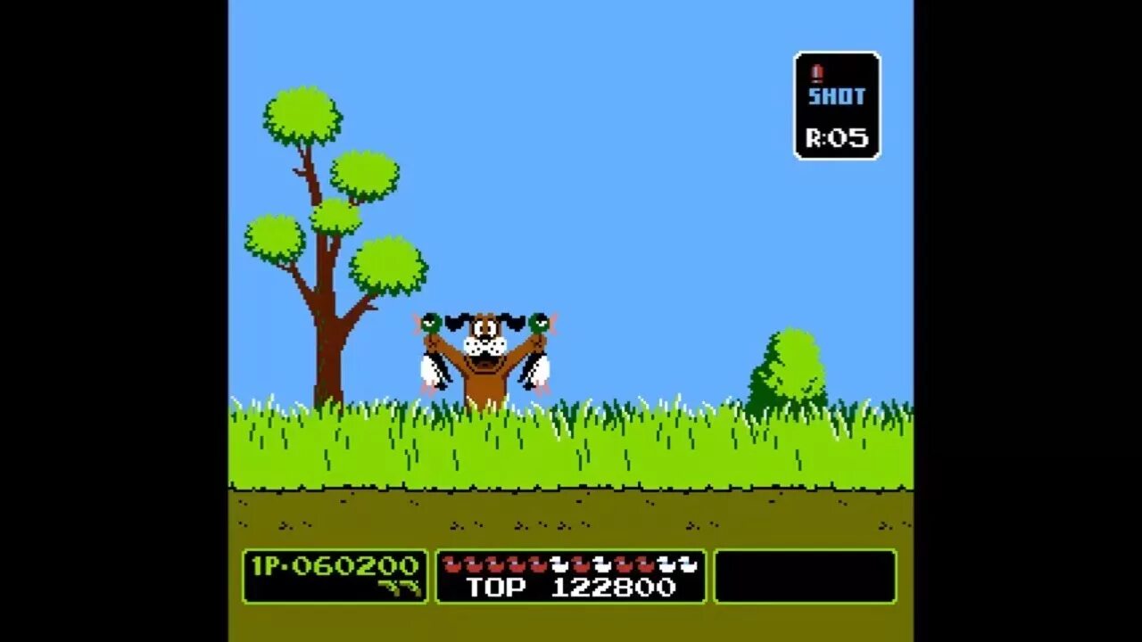 Duck Hunt игра. Утиная охота игра на Денди. Стрелять в уток Денди. Охотник на уток игра Денди. Игра охота денди