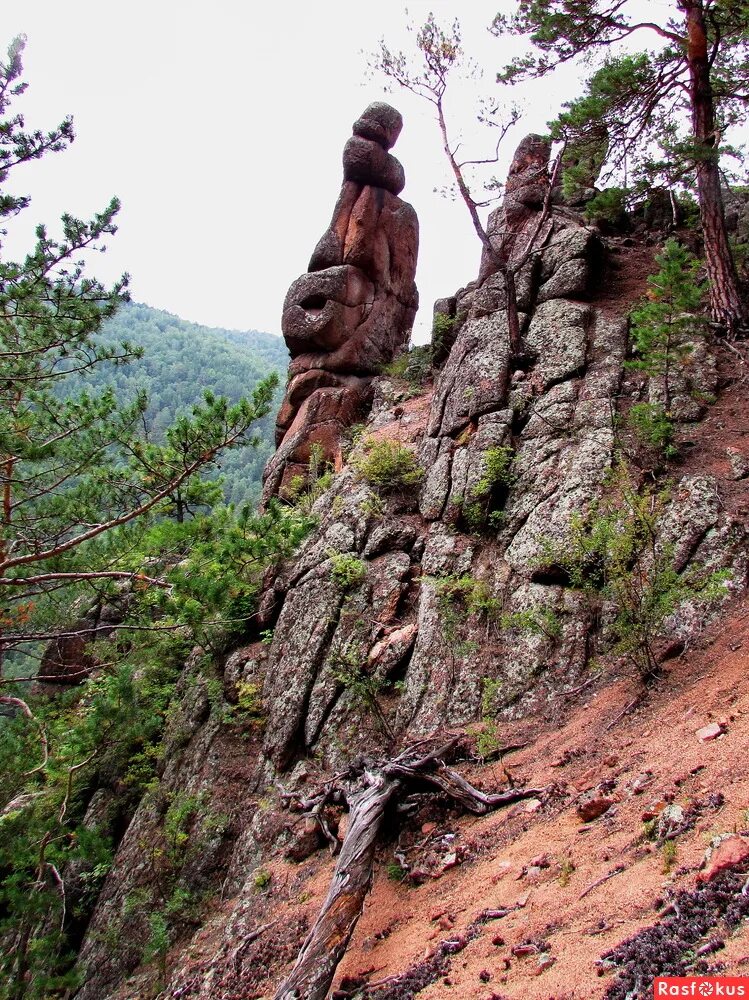 Национальный парк красноярские столбы. Государственный природный заповедник «столбы». Ленские столбы в якутии. Как называется группа скал в парке столбы. Красноярский край.