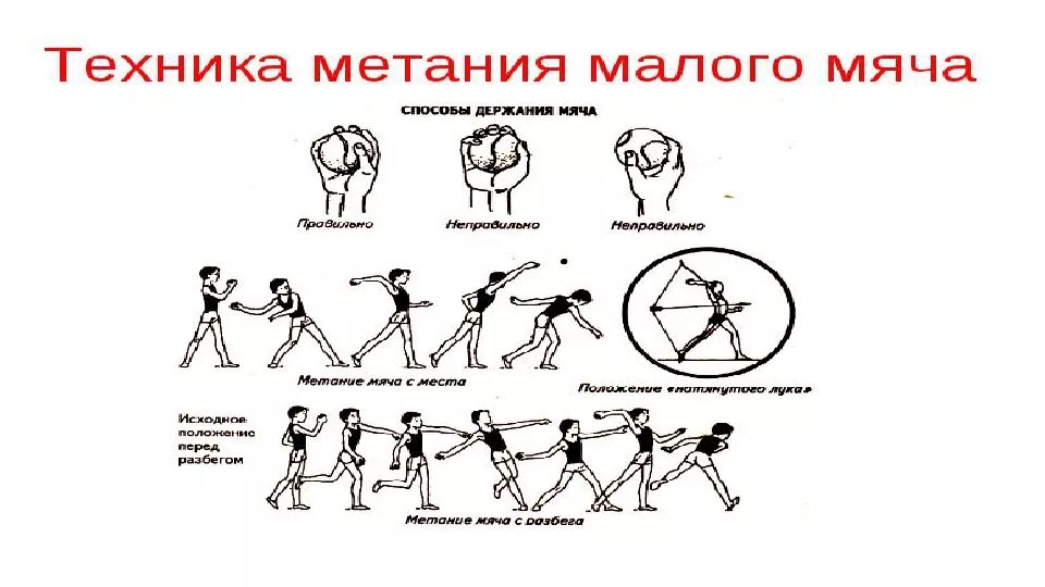 Подводящие упражнения для метания мяча в цель. Техника безопасности по легкой атлетике метание мячом. Техника метания мяча на дальность. Техника безопасности метания малого мяча.