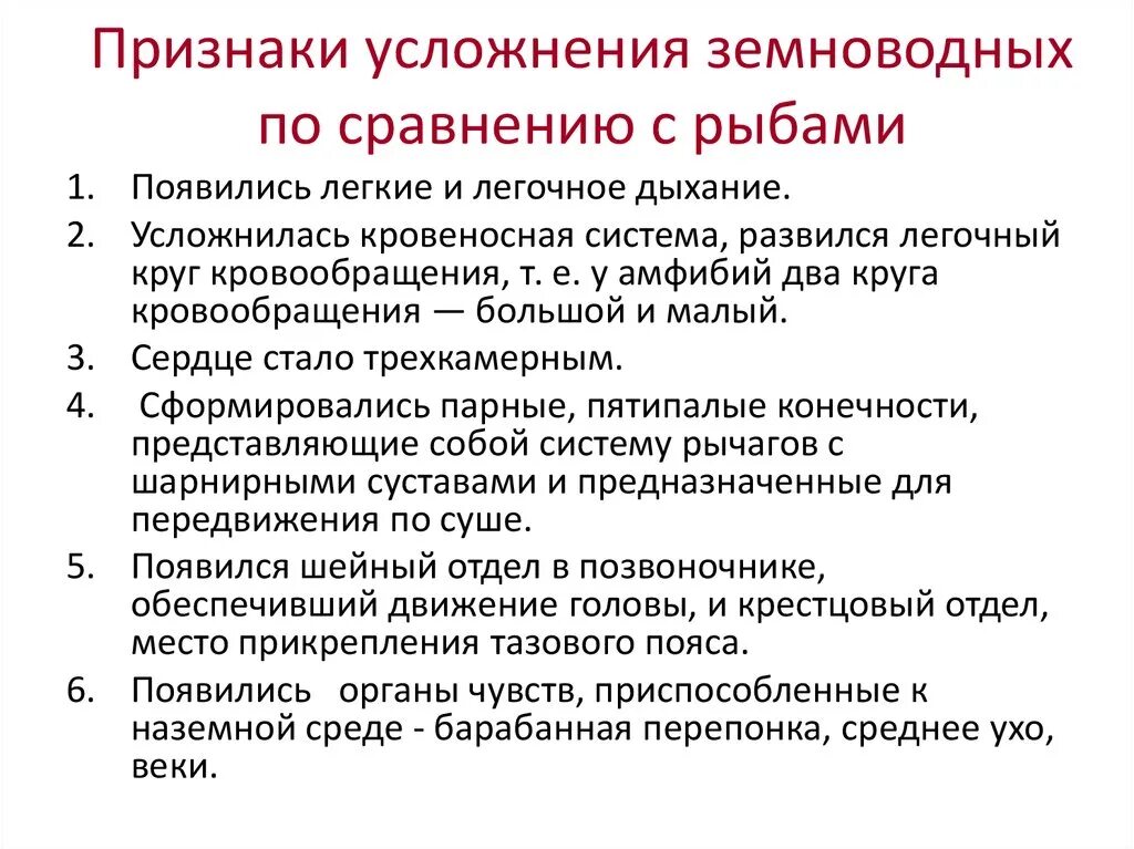 Черты усложнения организации. Прогрессивные черты земноводных. Признаки усложнения земноводных по сравнению с рыбами. Признаки амфибий. Общая характеристика земноводных.