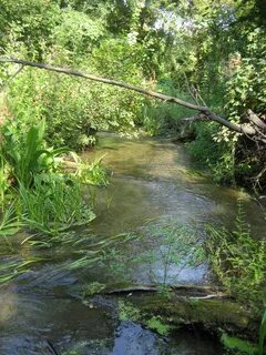 Река где водится