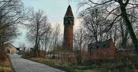 Корнево багратионовский