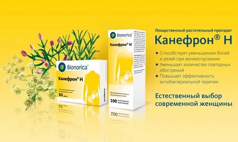 Препараты для почек у женщин