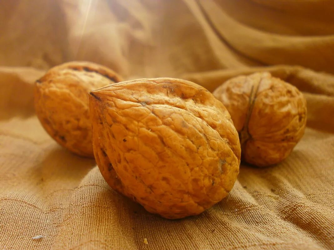 конфеты три орешка. бордовые орешки. орешек отзывы. три орешка для золушки. три орешка отзывы.