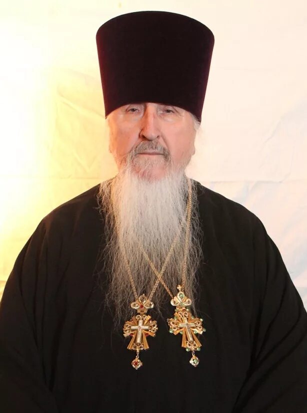 Аржаев александр иванович. Кафедральный протоиерей. Кафедральный протоиерей. Отец александр агейкин. Кафедральный протоиерей.