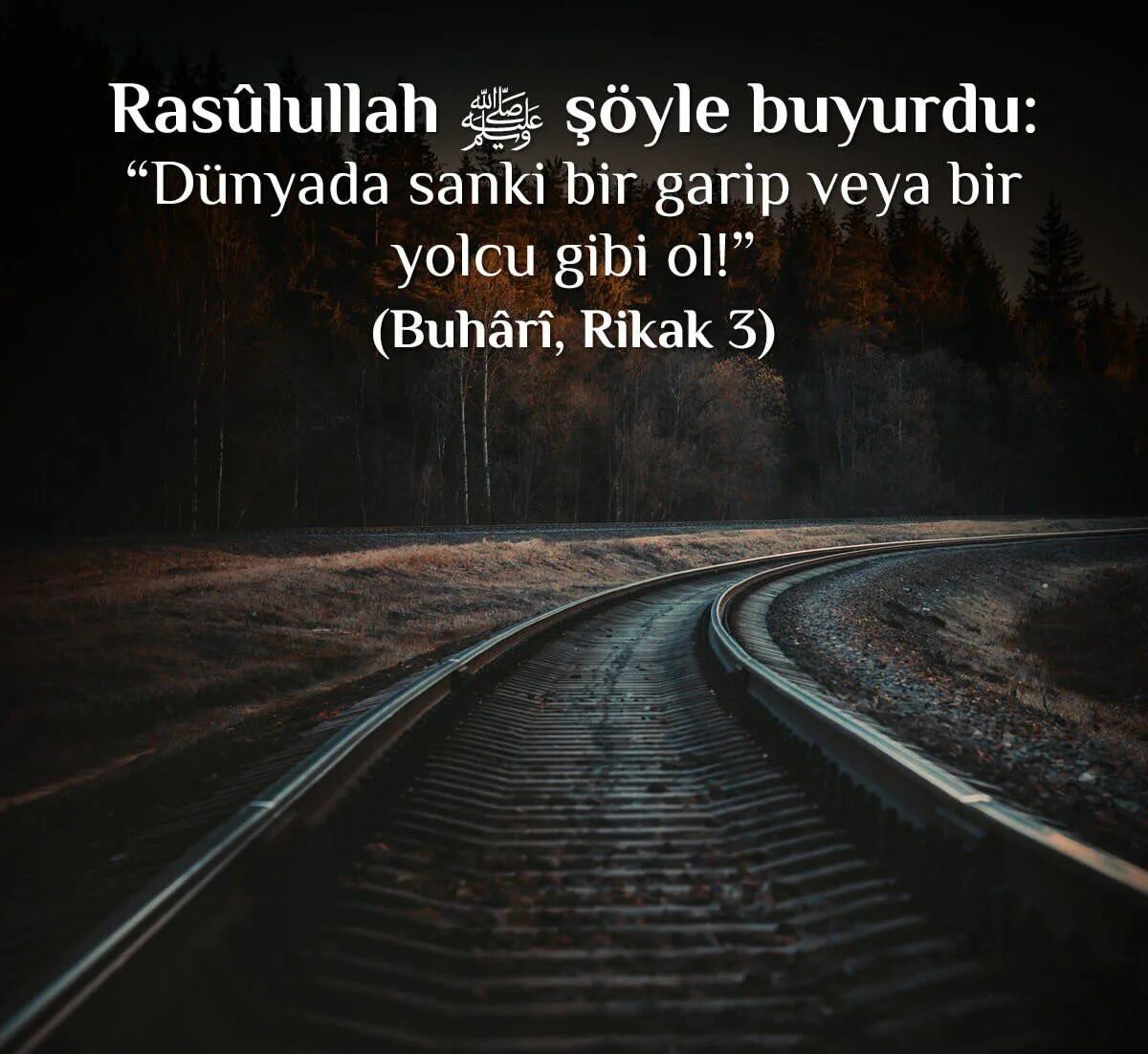 Yolun dusse bu dunyaya. Yolun dusse bu dunyaya