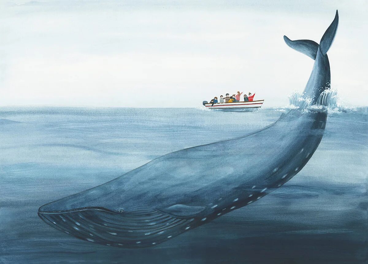 Кит рядом с кораблем. Синий кит и яхта. Синий кит рядом с кораблем. Плоскодонный водоизмещающий катер. Полуподводная лодка кит.