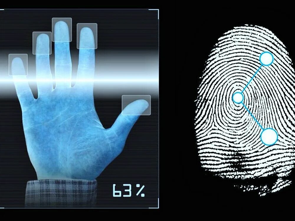 Идентификация по отпечаткам пальцев. Отпечатки пальцев дактилоскопия. Биометрические системы идентификации. Отпечатки пальцев биометрические данные.