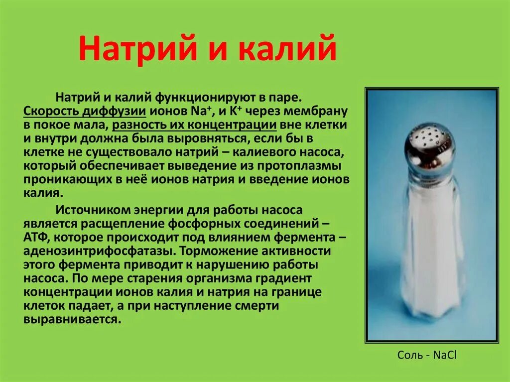 Натрий влияние на организм. Влияние натрия на организм человека. Натрий и калий в организме человека. Натрий воздействие на организм.