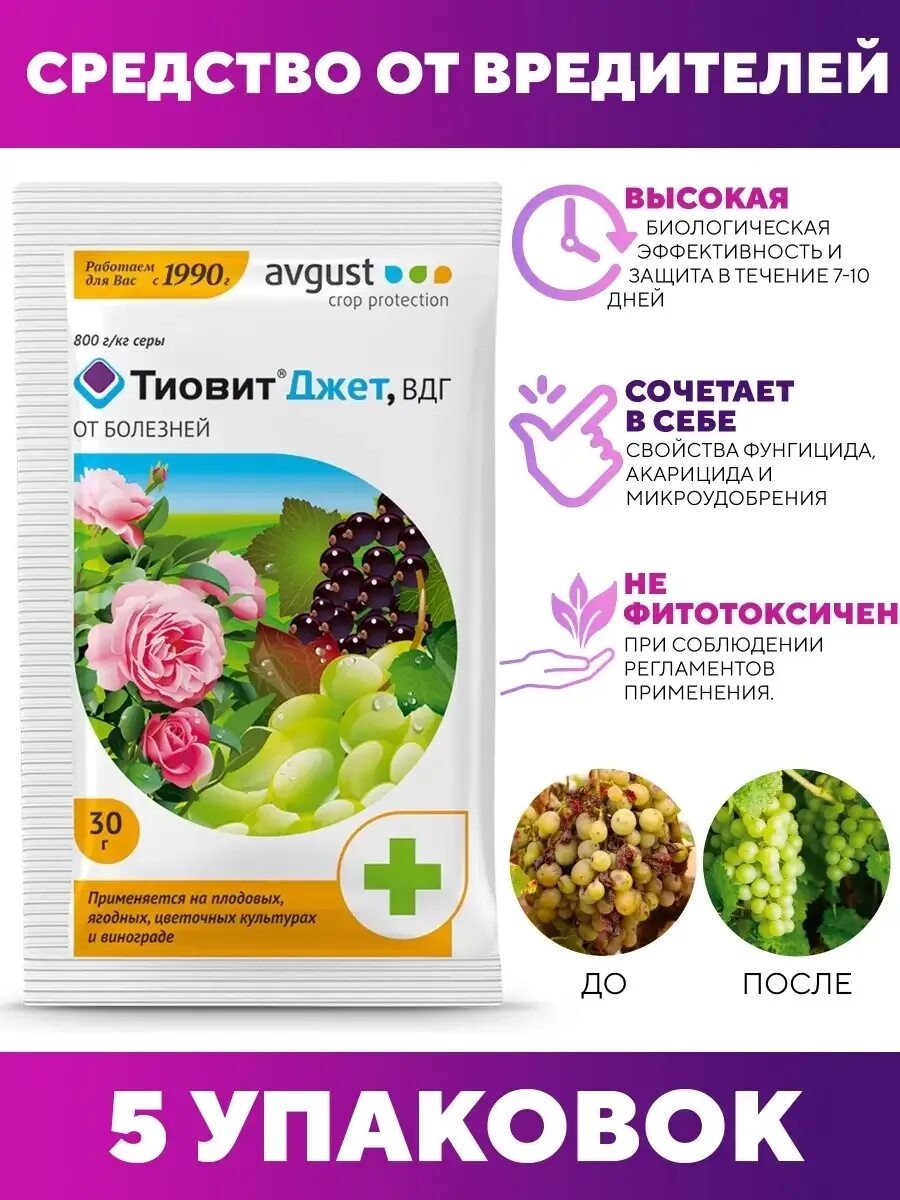 Когда обрабатывать тиовит джетом. Средство от болезней растений тиовит-джет,вгд 30гр. тиовит-джет 30гр август. тиовит джет август инструкция. тиовит джет для клубники.