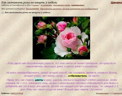 Что нужно добавить в розы