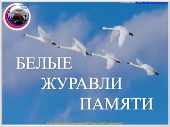 Акция журавли нашей