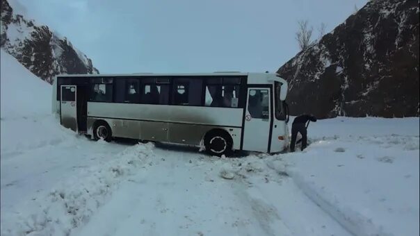 Автобусы из териберки в мурманск. Мурманск териберка. Автобус мурманск териберка 2024. Автобус мурманск териберка 2024. Териберка автобус из мурманска.