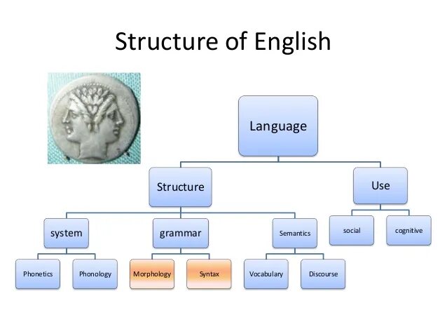 The system английский. English language structure. Grammar structures в английском. Grammatical structure English language. Grammatical structure of a language.