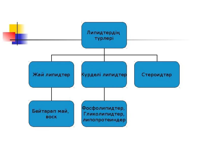 Липидтер. Липидтер презентация. Сабындалмайтын липидтер. Липидтер деген не.