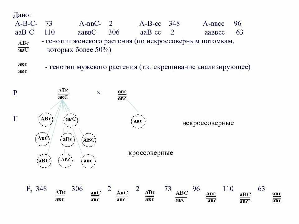 Генотип ааввсс образует гаметы. Какие гаметы образует организм с генотипом. Сцепленное наследование генов биология 10 класс. Сколько типов гамет образуют организмы с генотипами. Гаметы ААВВСС.