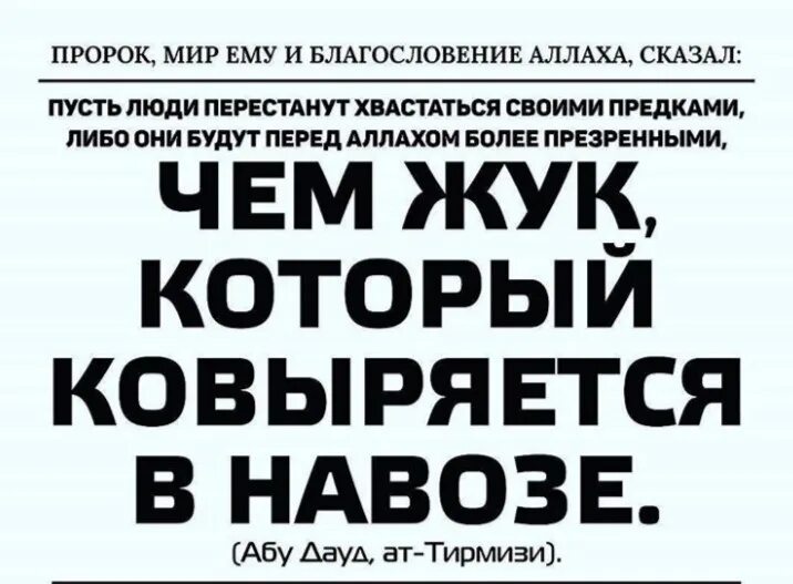 Пророк мир ему и благословение аллаха. Пророк сказал. Хадисы пророка. Хадисы пророка Мухаммада с.а.в достоверные. Пророк мир ему и благословение Аллаха сказал.