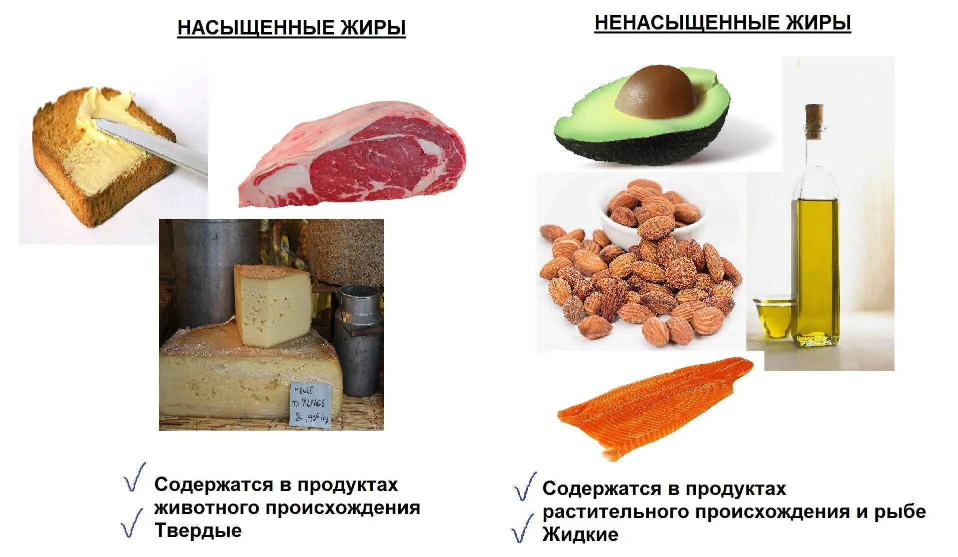 Продуктов, содержащих ненасыщенные жирные кислоты. Ненасыщенные жирные кислоты это растительные жиры. Ненасыщенные жирные кислоты продукты питания. Продукты-источники ненасыщенных жирных кислот. Жидкая и твердая пища