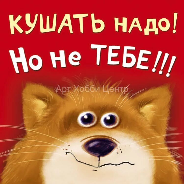 Песня надо много кушать надо много спать. Оберег от еды. Оберёг на холодильник от обжорства. Оберег от обжорства на холодильник. Раскраска-магнит не жрать.