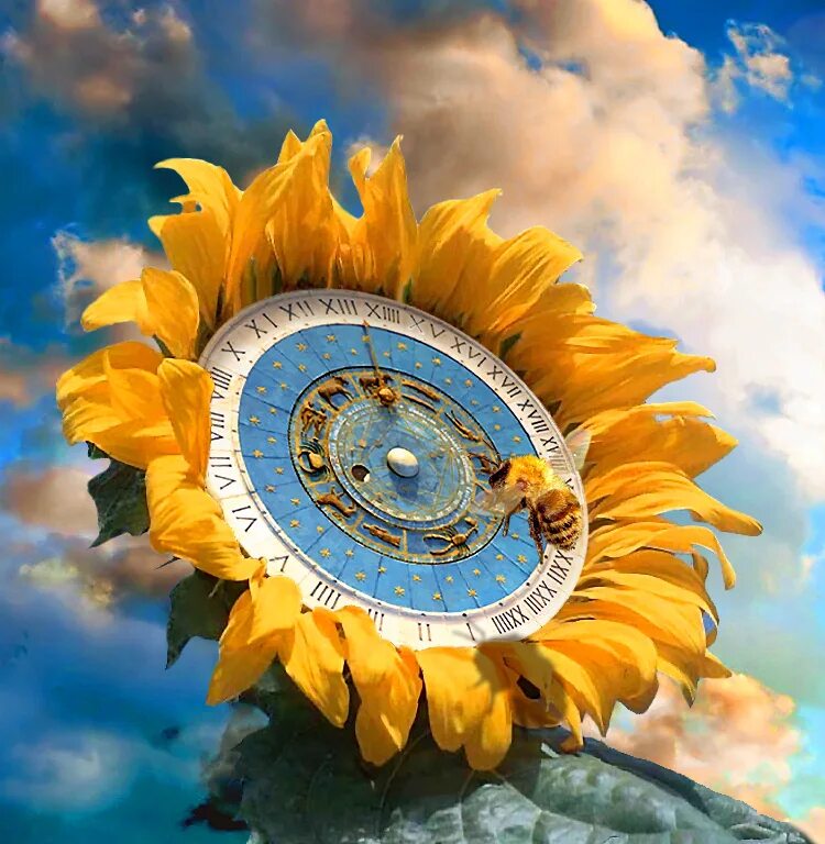 солнце в 1 доме соляра