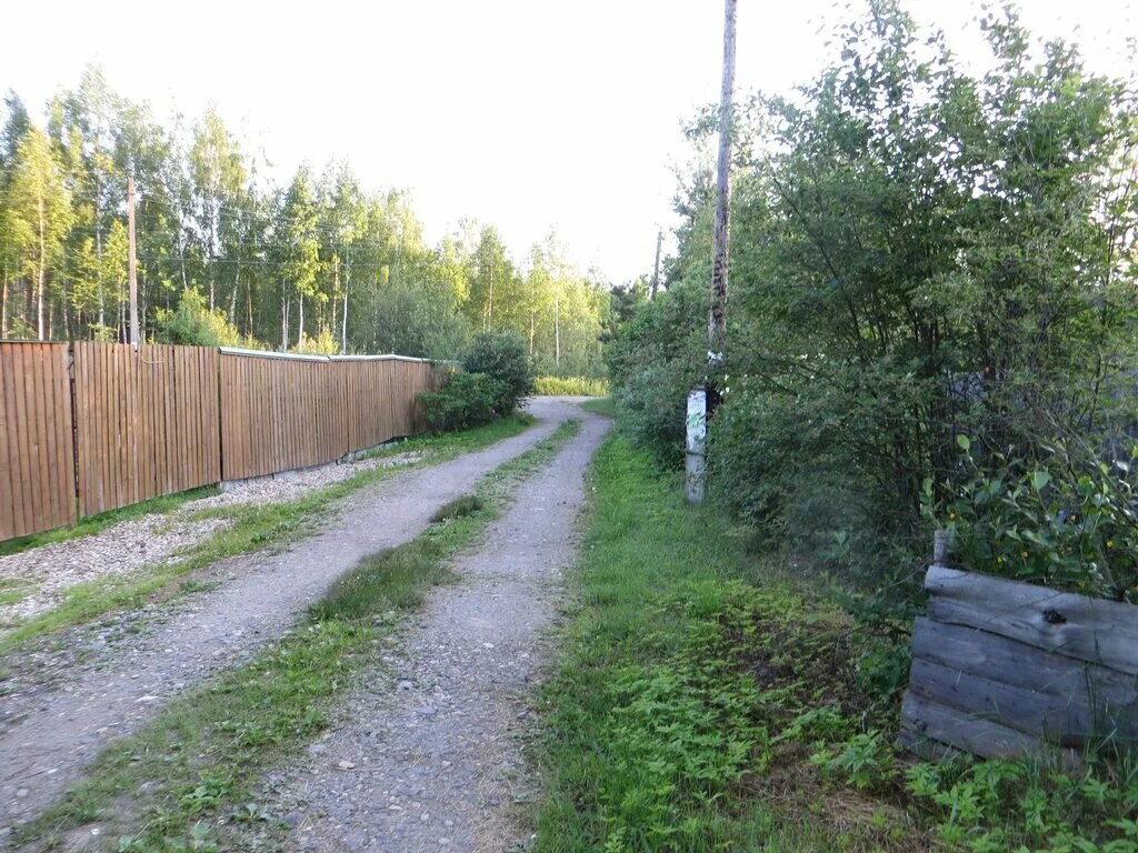 пгт редкино конаковский район. тверская область, конаковский район, редкино. посёлок редкино тверская. пгт редкино тверской области. достопримечательности поселка редкино.