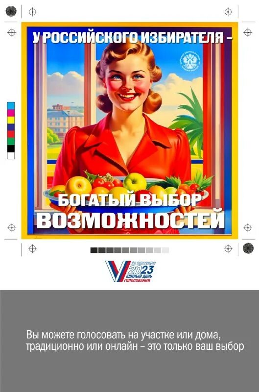 памятка общественному наблюдателю. рцоит цик рф официальный сайт. плакаты цик. плакаты цик. выборы президента россии.