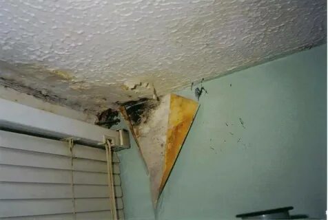 Влажность в квартире 1 этаж