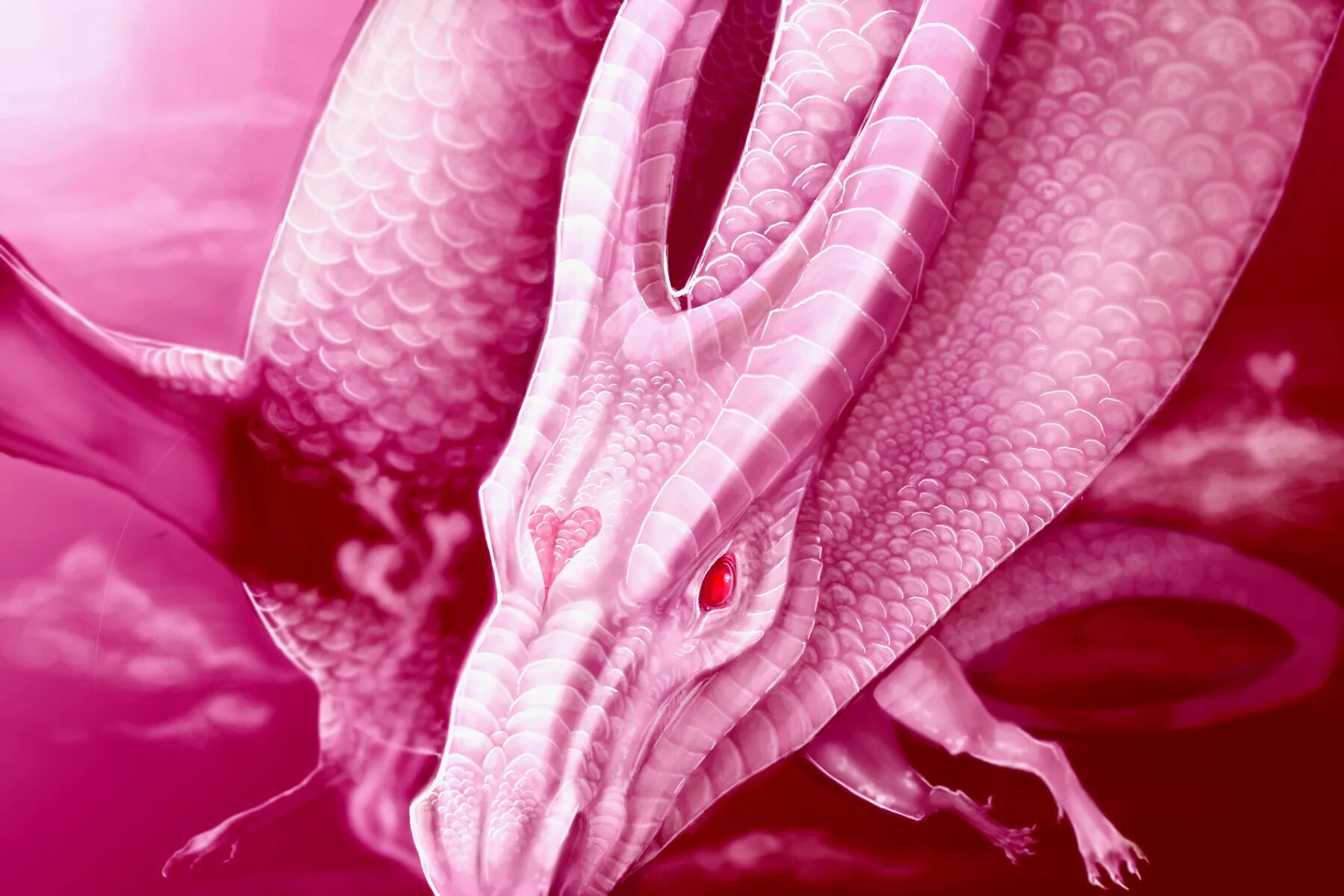пинк драгон. рюкоцусей дракон. Dragon pink. Dragon pink. дракон арт.