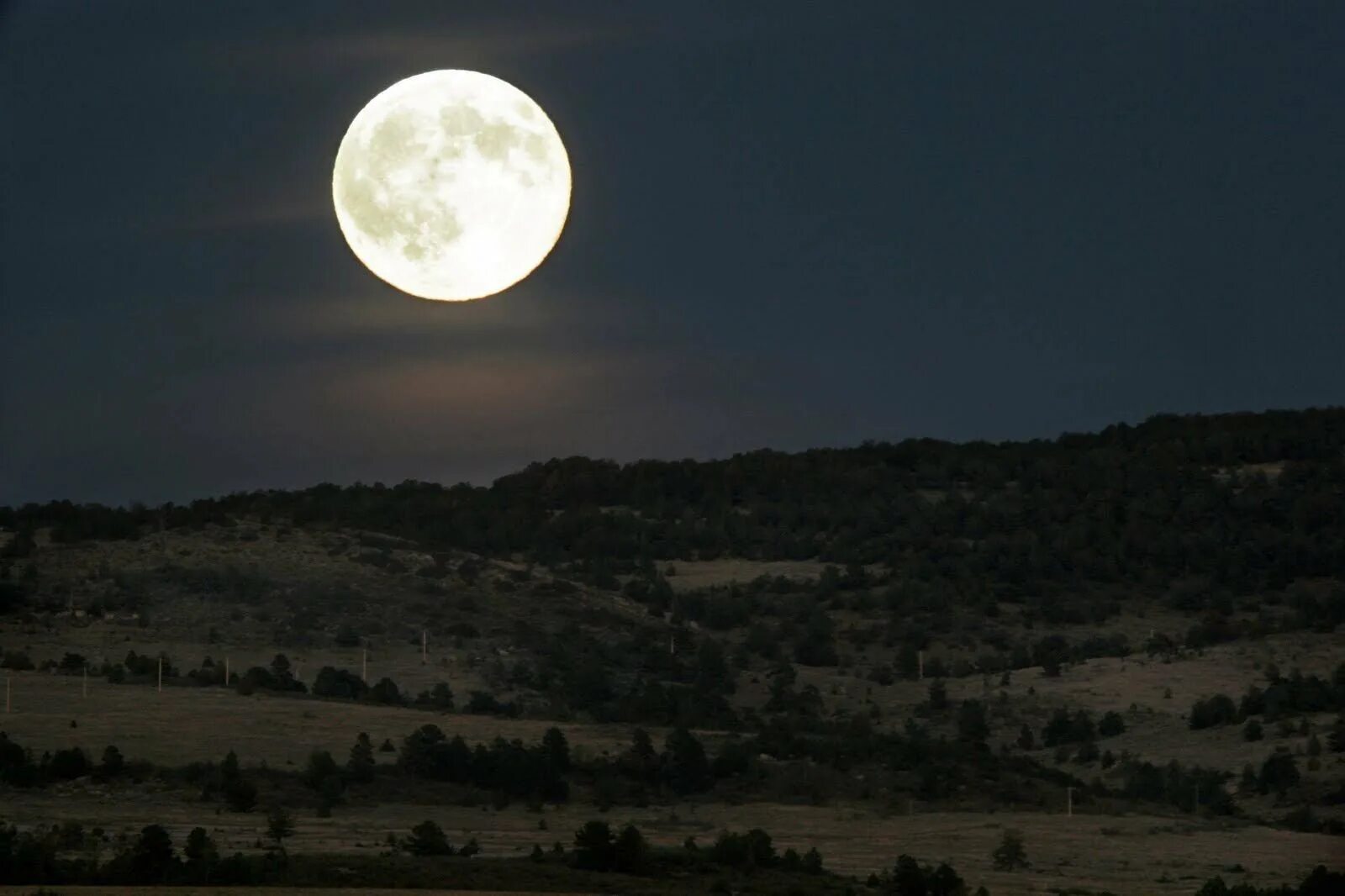 Луна бесплатное видео. Луна. Лунная ночь. Изображение Луны. Полнолуние.