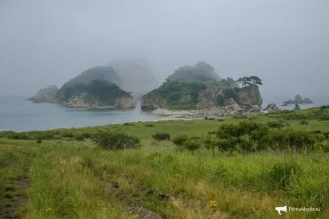 Муссонный климат приморского края