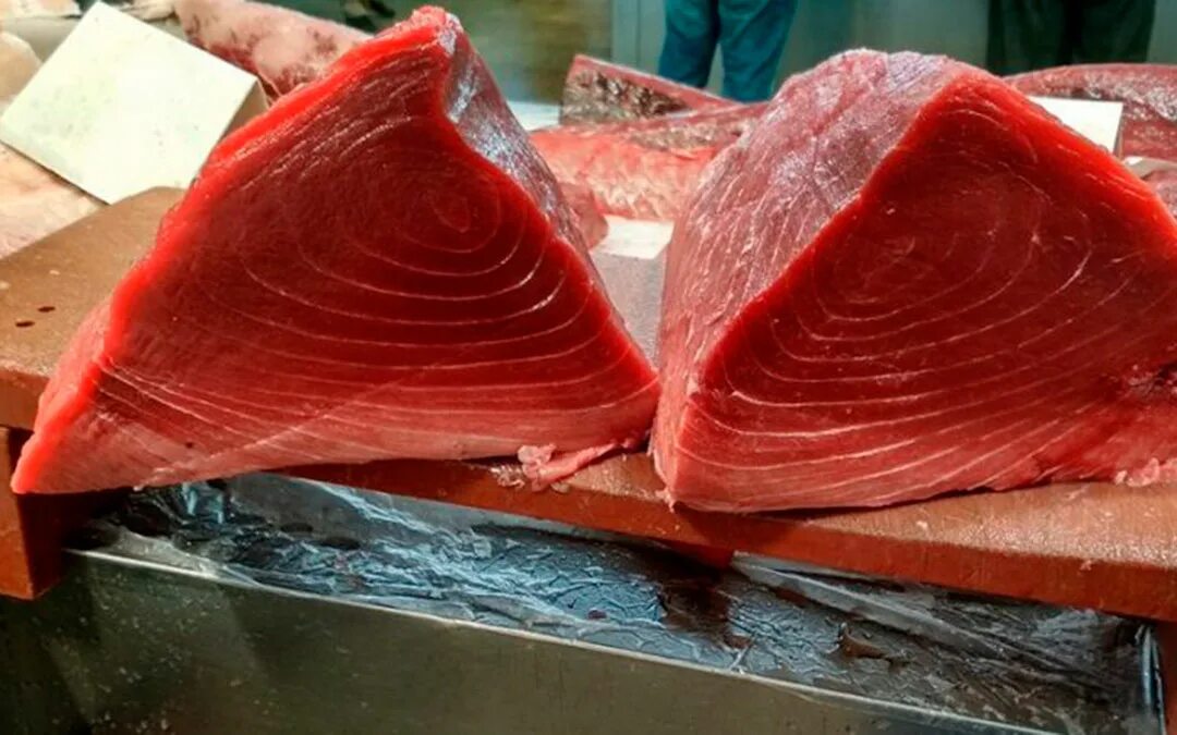 Рыба похожая на мясо. Тунец красная рыба. Тунец Блюфин мясо. Красный тунец.