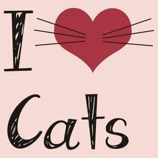 I love cats