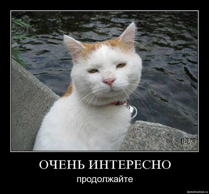 Продолжай что нибудь. Чтото очень интересное. очень интересно. очень интересно продолжайте. очень любопытно.