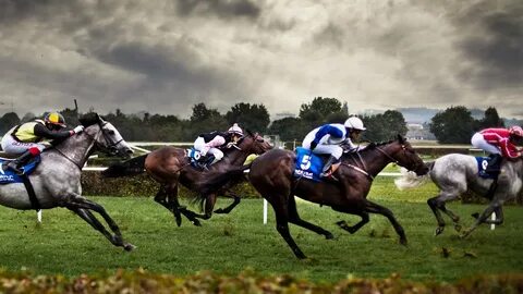 Live horse racing
