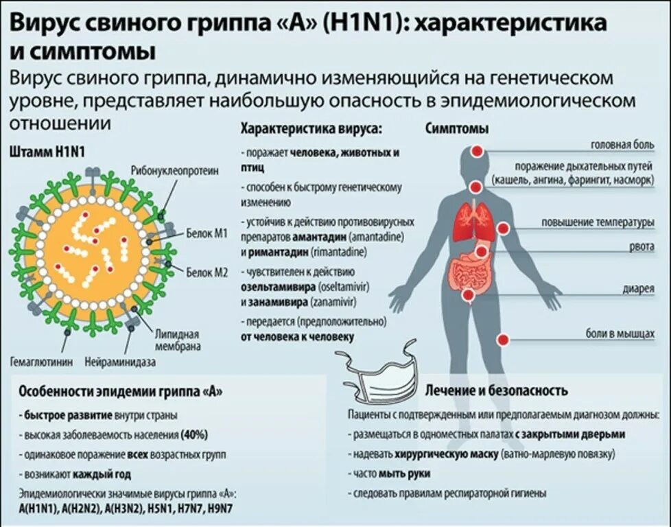 Какие инфекции вызывают. Вирус гриппа h1n1. Вирус свиного гриппа h1n1 для человека. Грипп h1n1 симптомы. Свиной грипп h1n1.