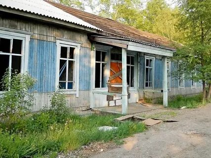 Тайшет березовая роща
