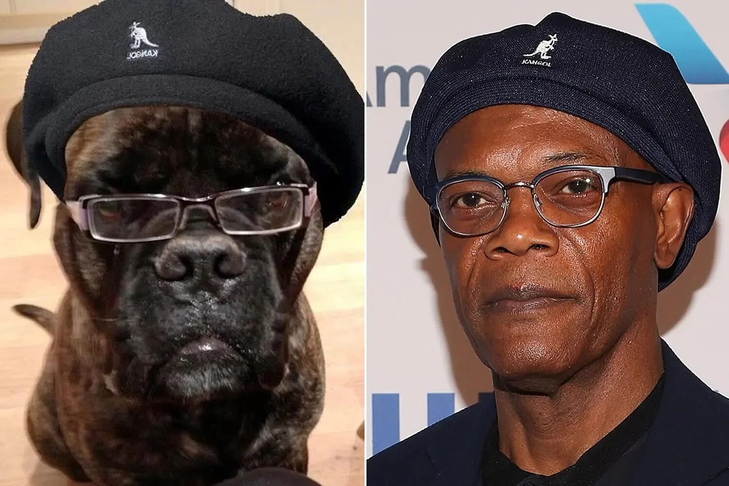 L look like