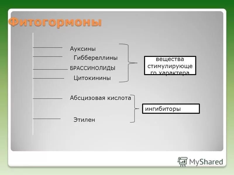 Пептидные гормоны растений. Фитогормон ауксин. Фитогормоны цитокинины ауксины гиббереллины цитокинины. Гормоны роста растений ауксины гиббереллины цитокинины. Ауксины и цитокинины.