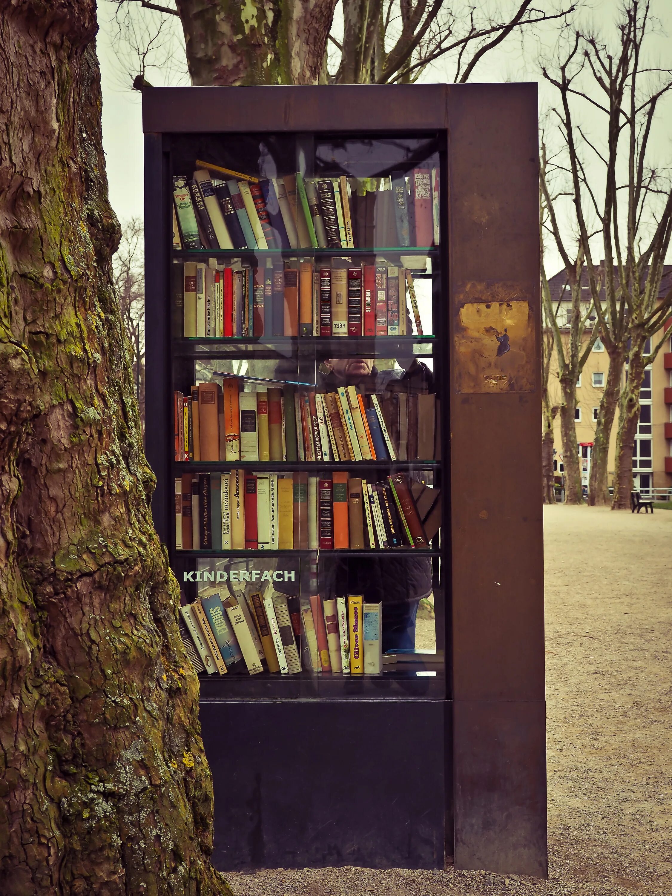 Книжный шкаф в управление огэ. Книжный шкаф. Шкаф для книг. Оригинальный книжный шкаф. Красивый книжный шкаф.