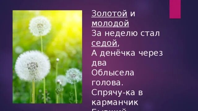 Загадки о прилагательных. Имя прилагательное в загадках. Загадки с именами прилагательными. Имена прилагательные в загадках. 2 загадки с именами прилагательными