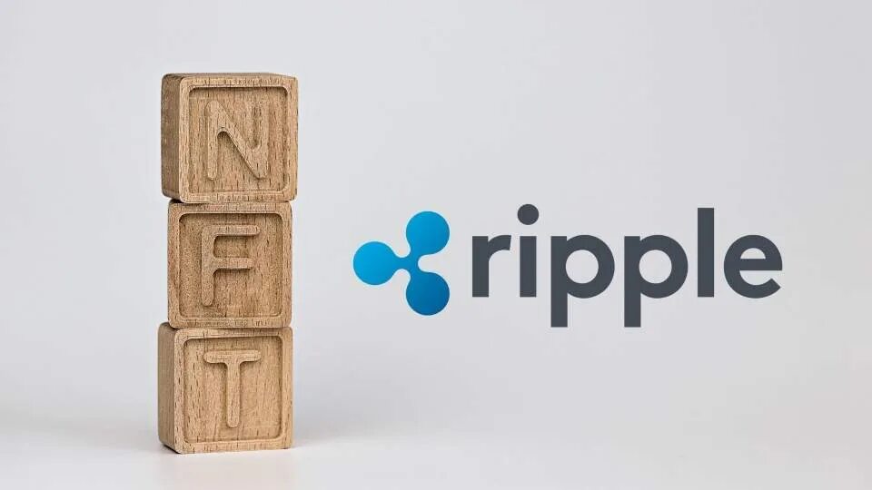 Ripplex. Mr Ripple. NFT Blockchain. Https bits org
