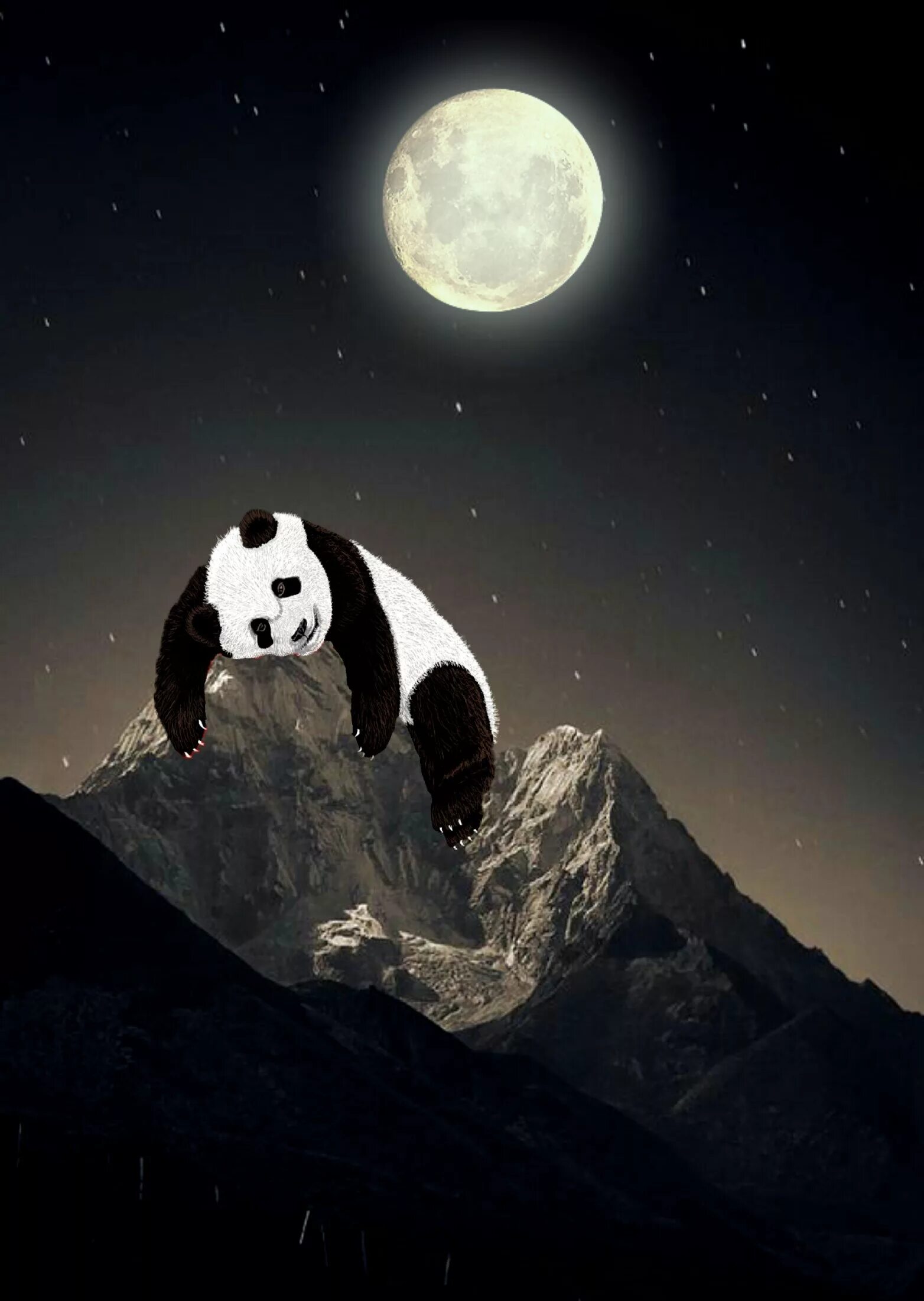 Night pandas